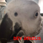 dev genius