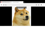 BADDOGE