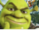 •MEME ARMY•