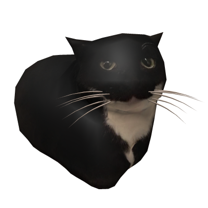 Maxwell Cat Shoulder Pet