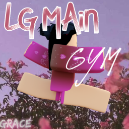 LG Gymnasium V3