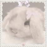•｡+Angel Dolls+｡•