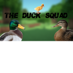 The Duck Squad | official