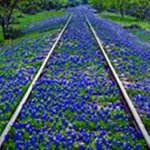 (Offical) California State Railroad Museum