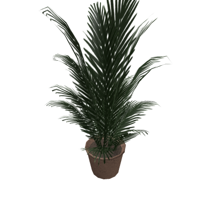 Potted Plant