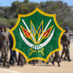 South African National Defense