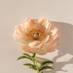 Fashion Bloom