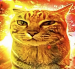 CATZ PRETYY