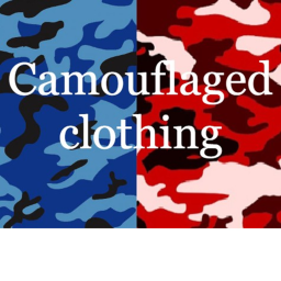 Camouflaged Clothing store