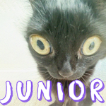 jun!or