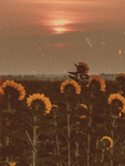 TheA’s