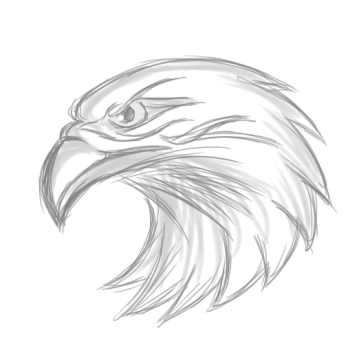 Band of the Hawk