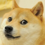 Doge Doggo Studio