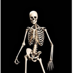 skeleton group of evil
