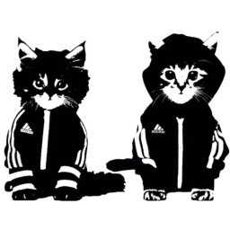 /ᐠ˵- ⩊ -˵マ
