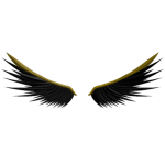 Aurora Noctis