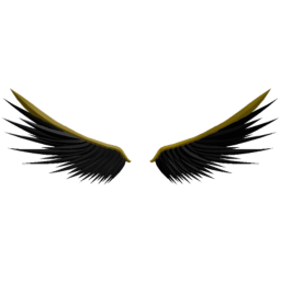 Aurora Noctis