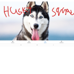 Husky Squad Husky