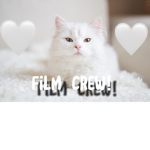 snow’s film crew>