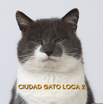 CUIDAD GATO LOCA GAMES 2