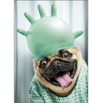 PugGames