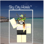 SkyCity Hotels!™