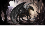 Die Drachen