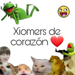 Fans de Xio Gamer