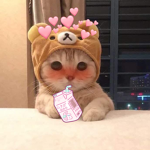 sugarplüm