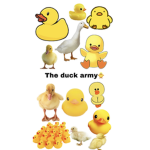 The duck armyyyyyyyy