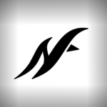 NattionFest