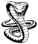 The Black Cobras.