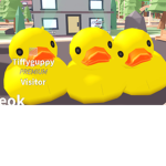 The duckies fans group