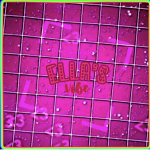 ella’s vibe