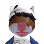 swag.cøre