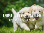 Animal Lives Matter Group