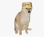 dfsdfgsdfg