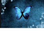 Blue little butterflys