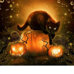 Katzen gang MEOW