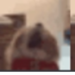 Syki Roblox Group