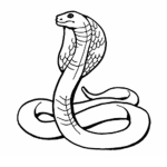 Snake Games and studios