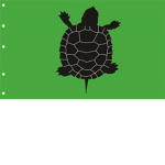 team turtle da bosses