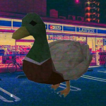 Duckii’s group
