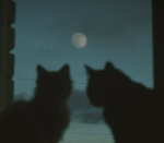 ギルド