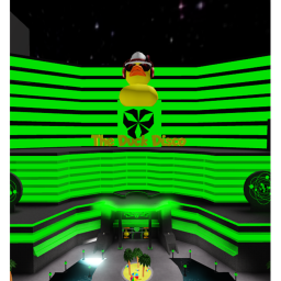 Duck Disco