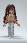 YouTuber Fans Roblox edition