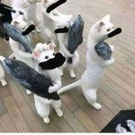 OWZUT