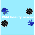Wild beauty rescue