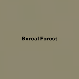Boreal Forest