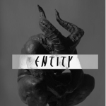 ┼ ENTITY ┼